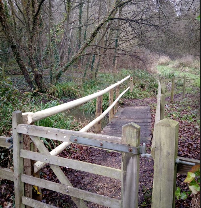 image of bridge in woodland