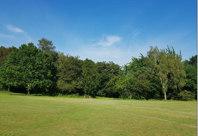 image of open field at Long Lane